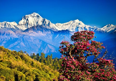 Visit Nepal, A Life Changing Opportunity with Nepal Youth Foundation